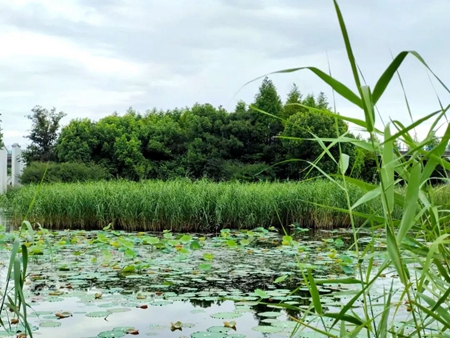 640 - 2023-08-10T111537.470_副本.jpg 640 - 2023-08-10T111537.470_副本.jpg